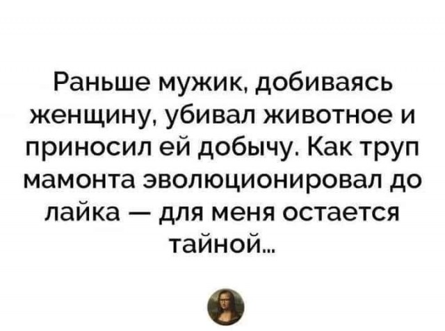 Всяческие картинки 15.11.2021