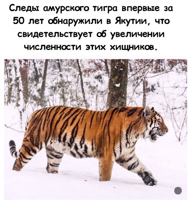 Так себе картинки 28.11.21