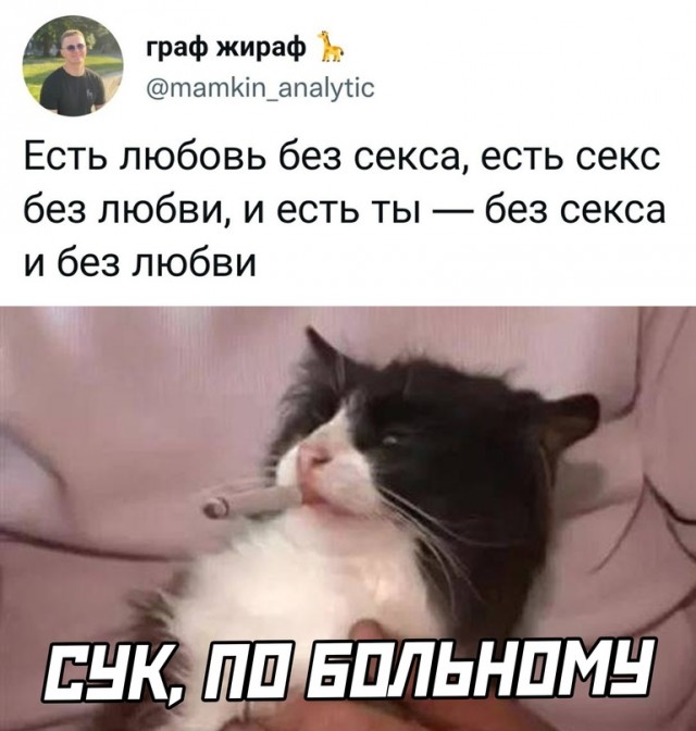 Весёлый полтишок 28.01