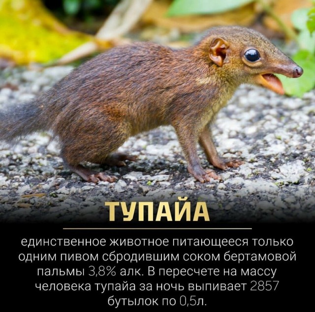 Картинки 12.02.22