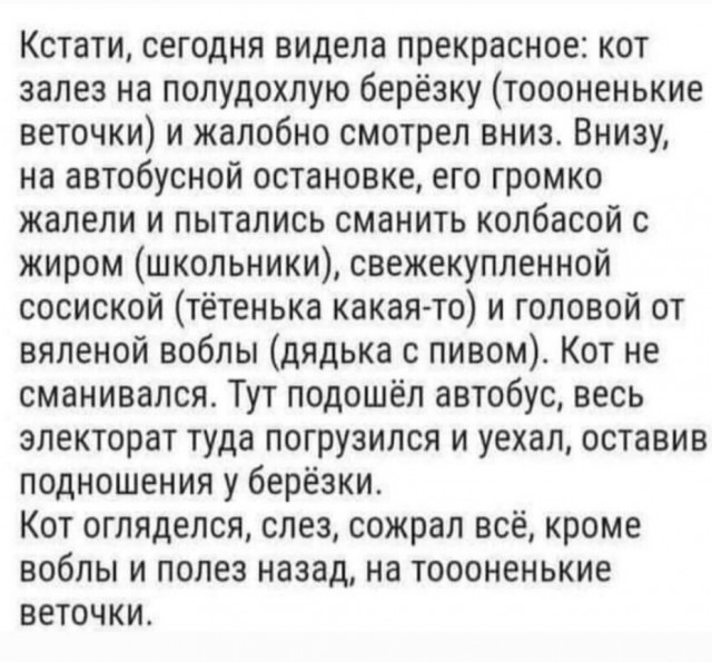 Картинки с надписями и всякие жизненные фразы