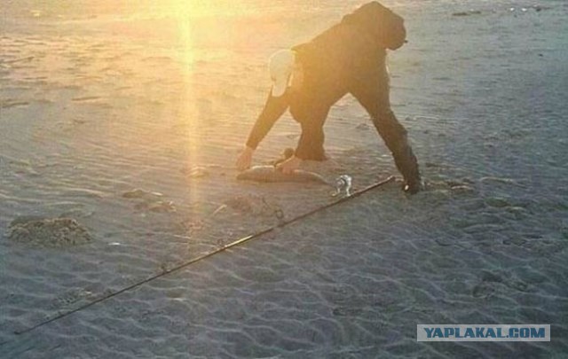 18 фото, на которых нет ничего необычного. Если не начать всматриваться