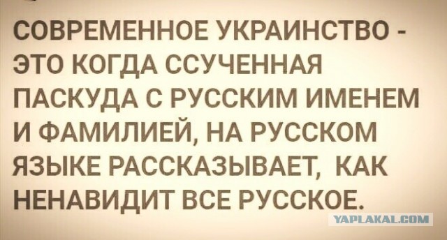 Калейдоскоп картинок