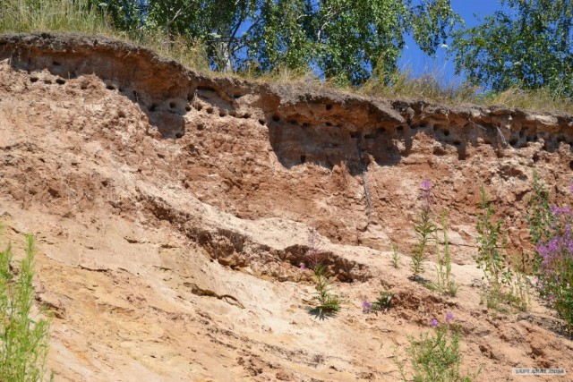 Отдых по-русски.