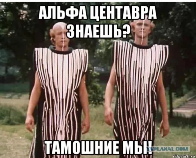 Каршеринг, автоледи, парковка - всё сошлось!
