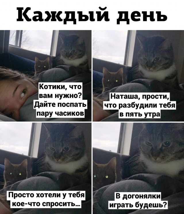 Дайте же человеку поспать!