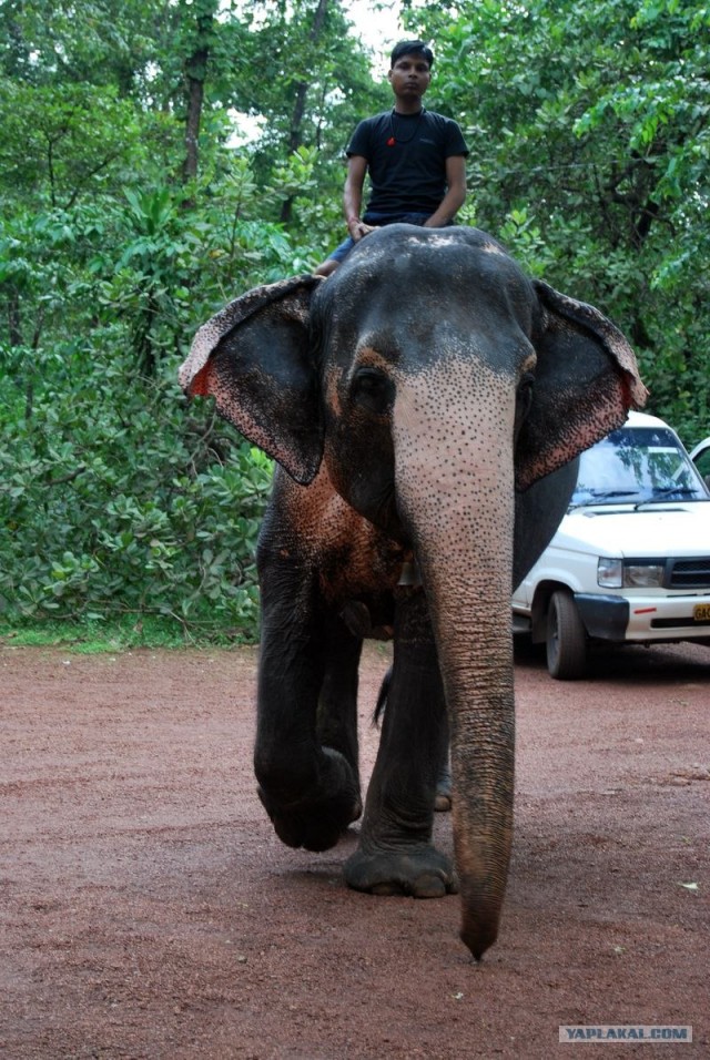 ГоА свои впечатления