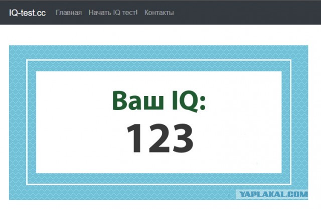 А какой у Вас IQ?