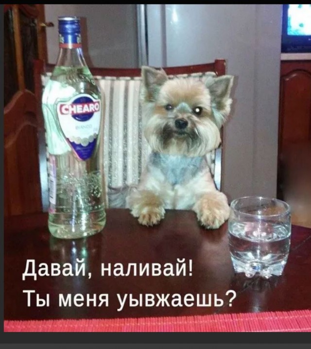Победная поступь идиотизма по планете – том 9