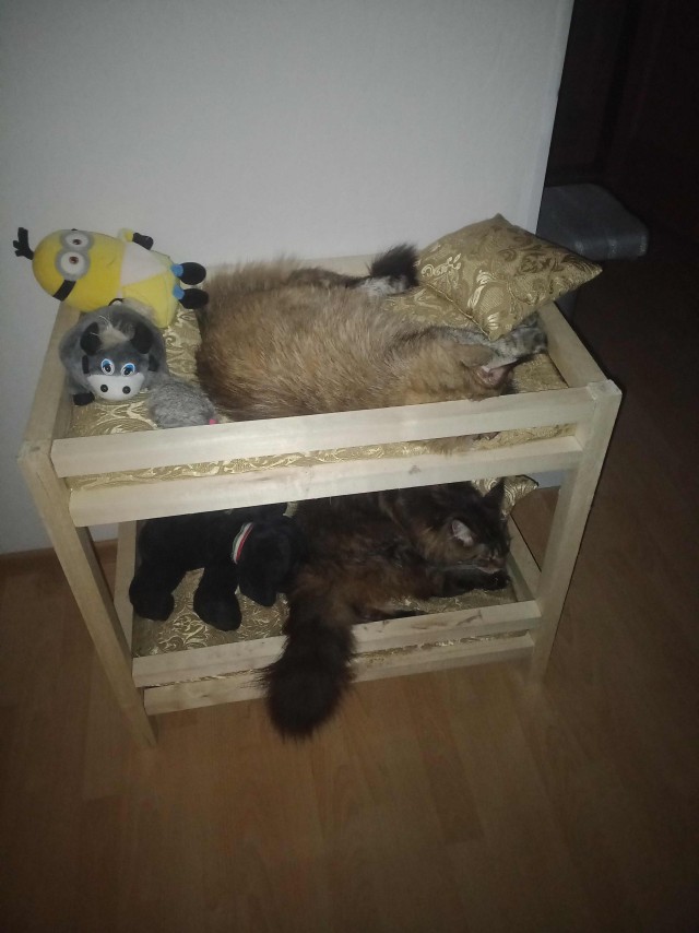 Дождалась