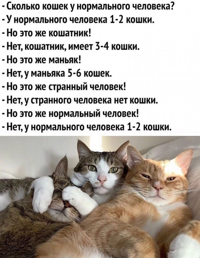 "А та контора развалилась!"