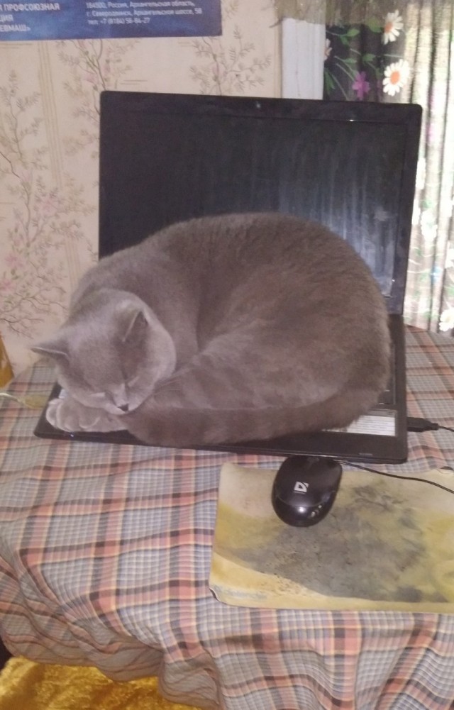 Пострадал
