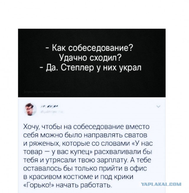 Забавные комментарии из социальных сетей (28.08.23)