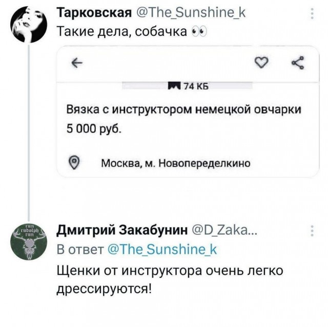 Нуштош 08.11.2023