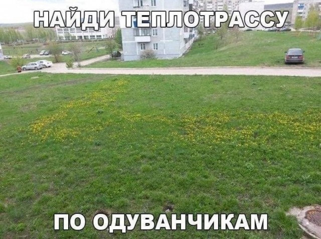 Так себе картинки 27.05.24