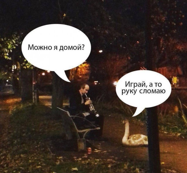 Всего понемногу. От 21.06.2024