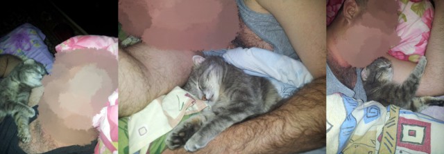Спокойной ночи