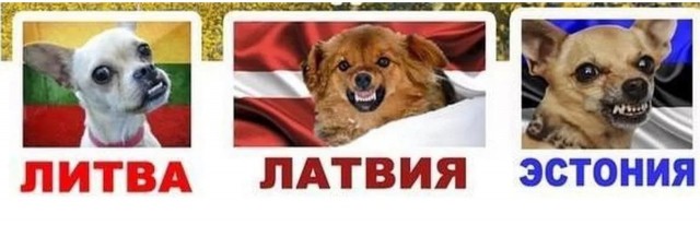 Эстония готова нанести России превентивный удар