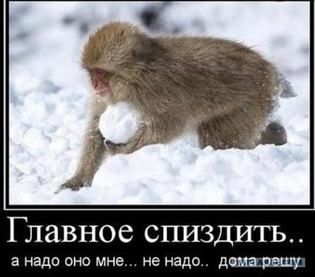 А чем вы лучше?