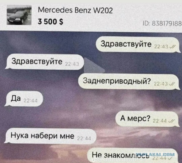 Так себе картинки 30.10.24