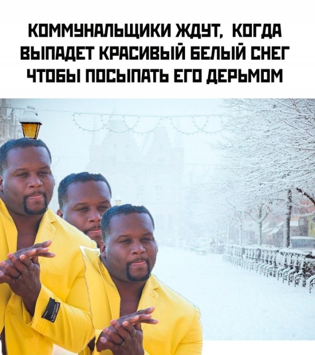 Весёлый полтишок 10.12.24