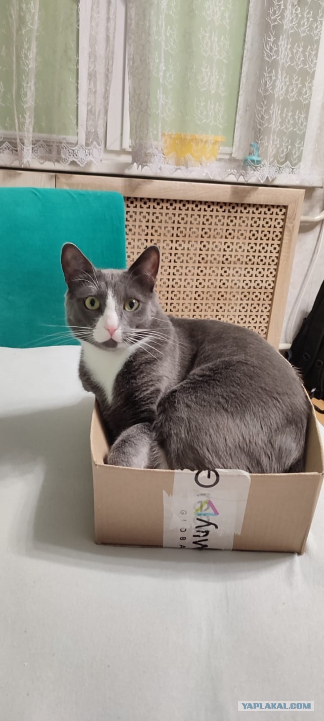 Блин. На меня пацан обиделся!