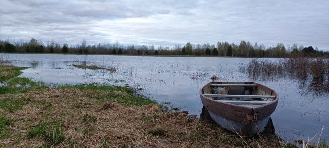 Разбавим политоту и жесть природой