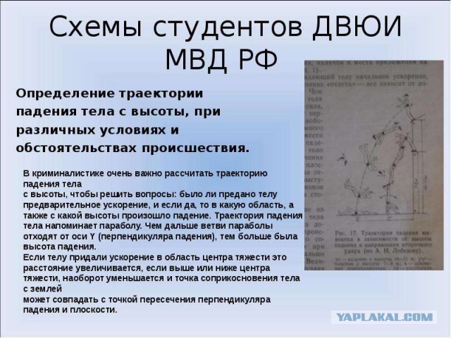 Новые подробности гибели восемнадцатилетней девушки в Перми