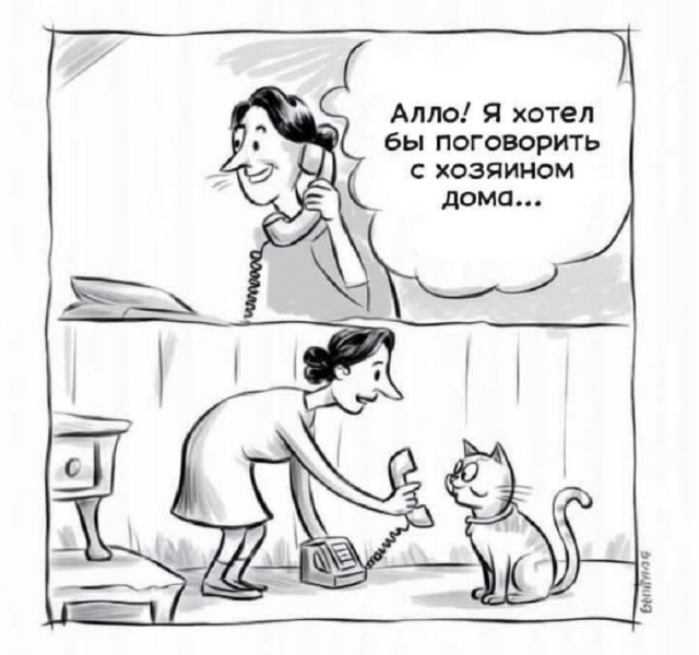 Так себе картинки 19.05.25