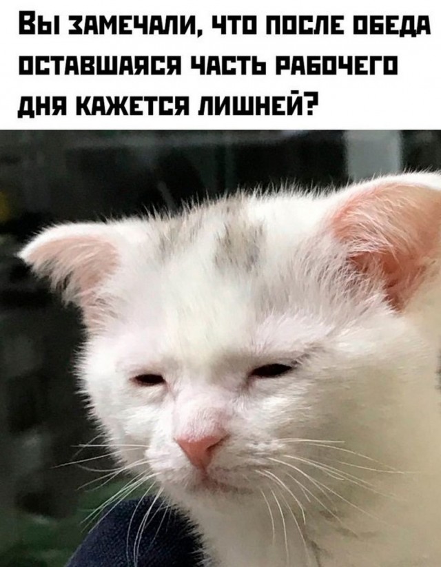 Веселые картинки в маленькую пятницу (28.05)