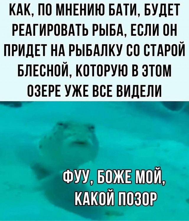 Юмор в картинках и без