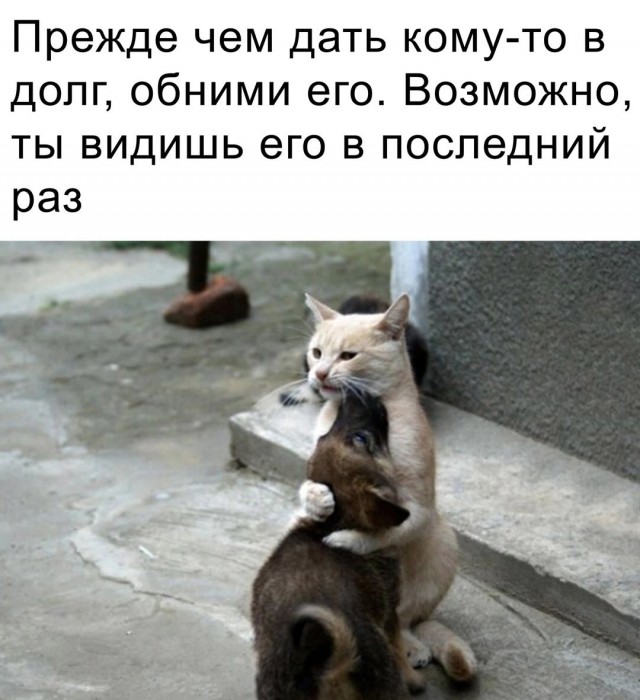 Завалялось тут случайно немного забавных картинок