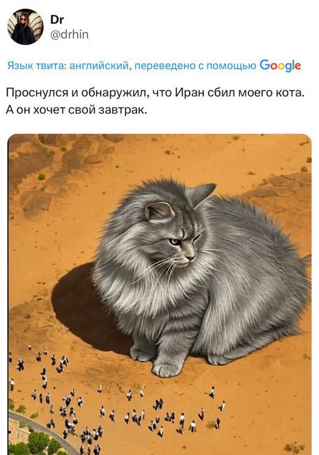 Иранские СМИ показали фото сбитого израильского истребителя, но он оказался намного больше настоящего и сразу стал шаблоном для мемасов