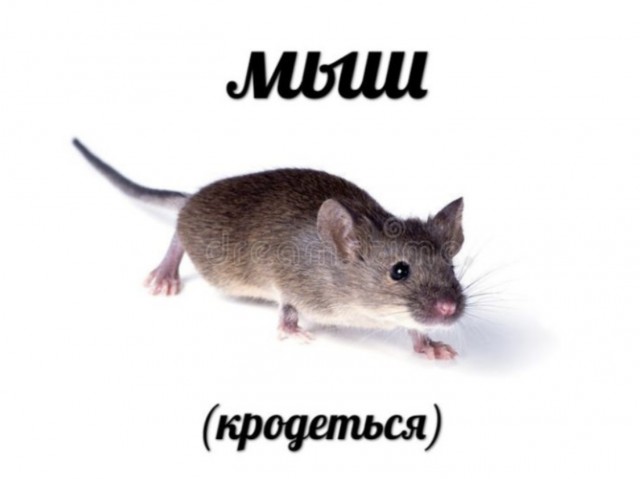 ChatGPT попросили сгенерить азбуку для малышей