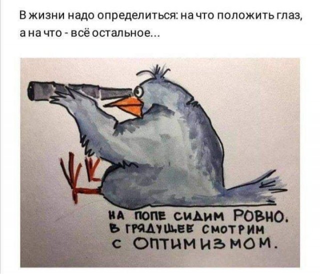 Веселые картинки в пятницу (11.07)