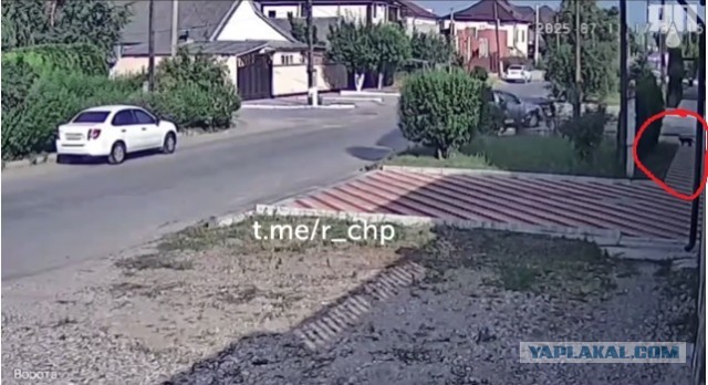А что так теперь можно?