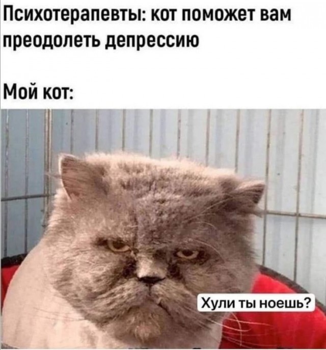 Марина, не нуди