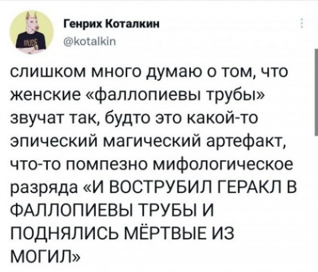 Веселые картинки в первый день октября (01.10)