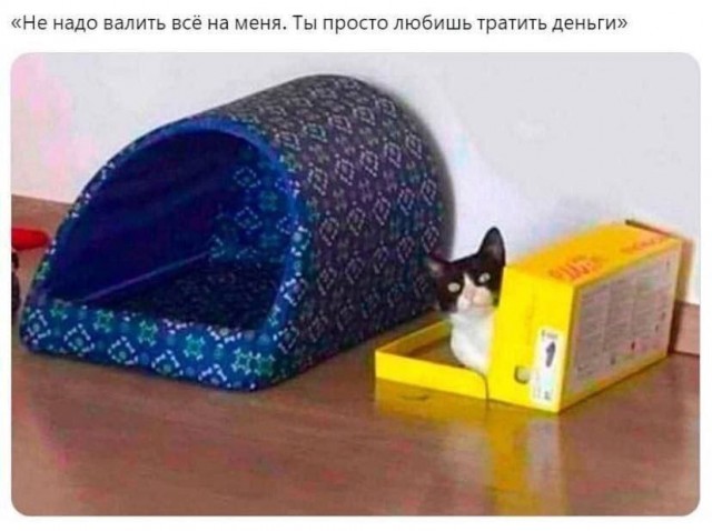 Подборка картинок-баянов с котиками и про котиков. Выпуск 21