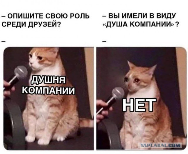 Так себе картинки 03.11.25