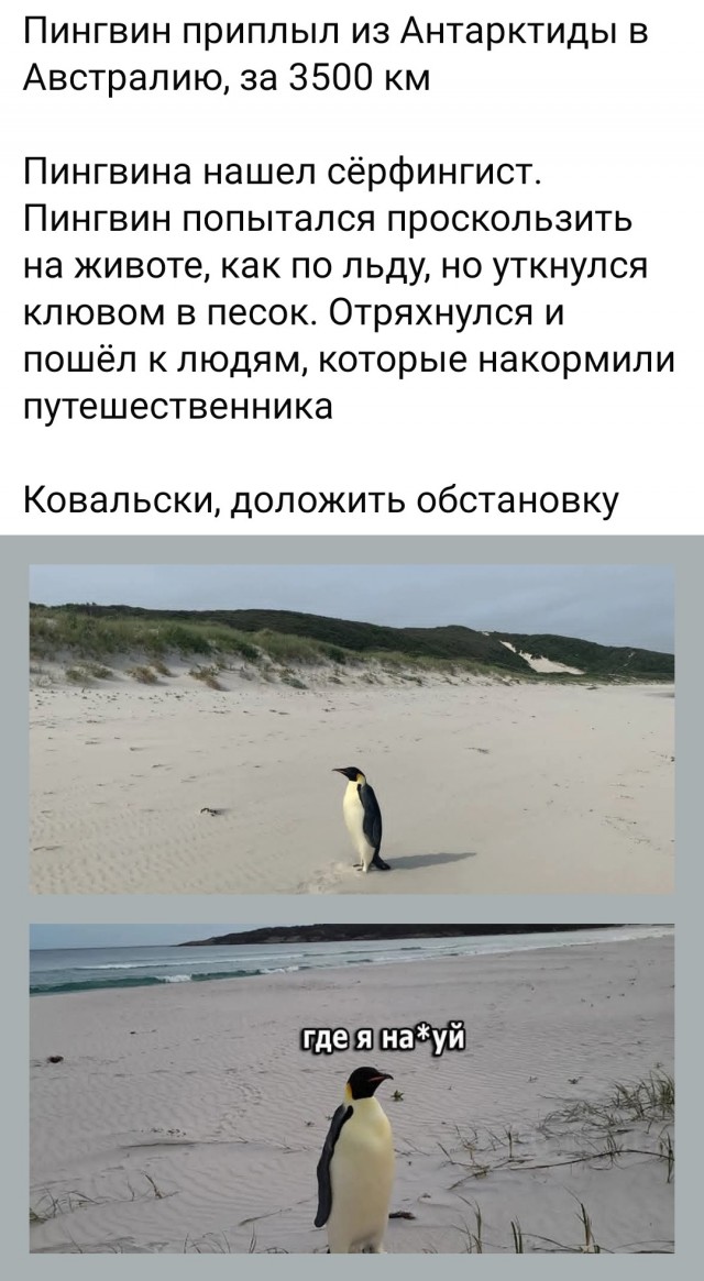 Маленькая пятница 11.11