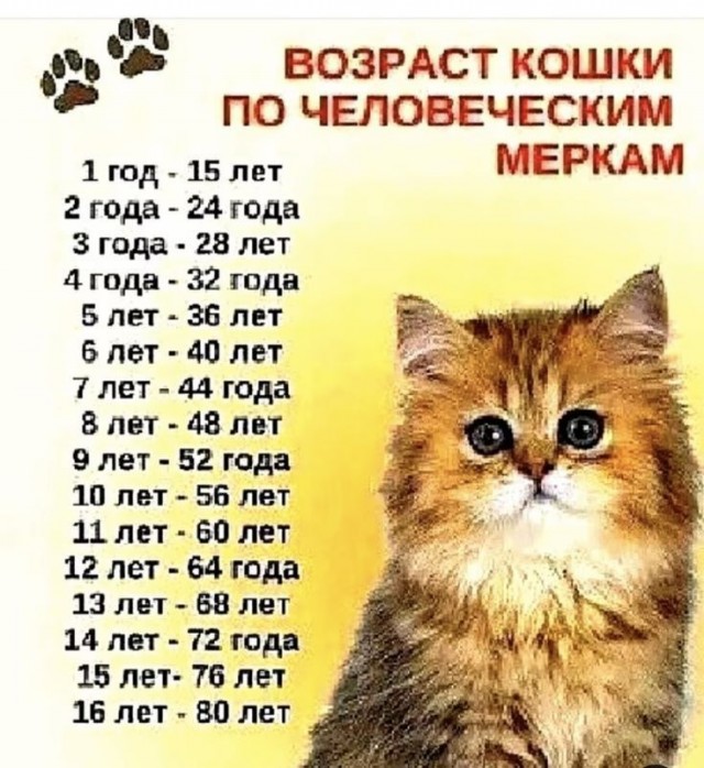 Прикольные и просто красивые картинки 18.11.2025