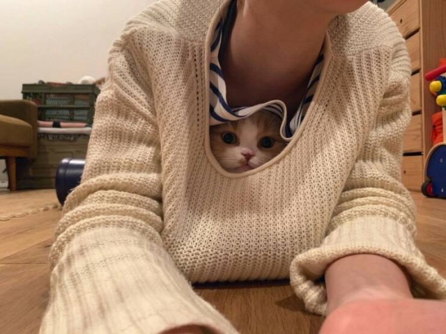 Пятничные картинки