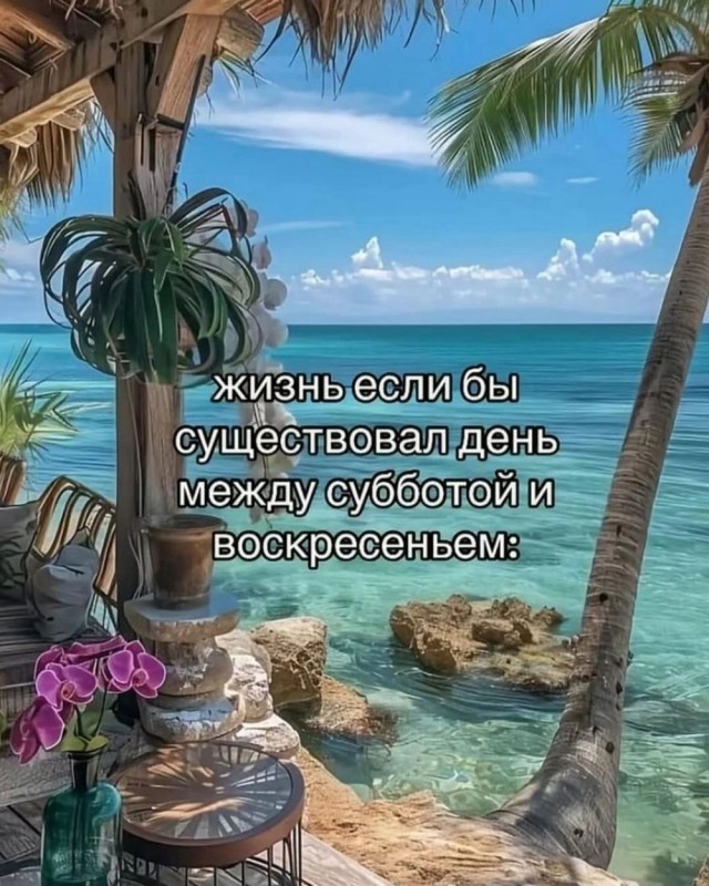 Субботние картинки