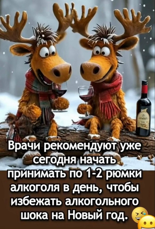 Так себе картинки 27.12.25