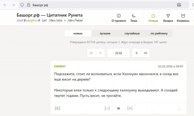 Милые дамы!