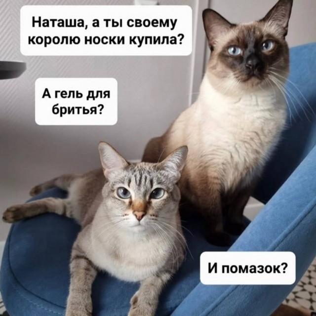 Картинки для деградации 147 (разной степени свежести)