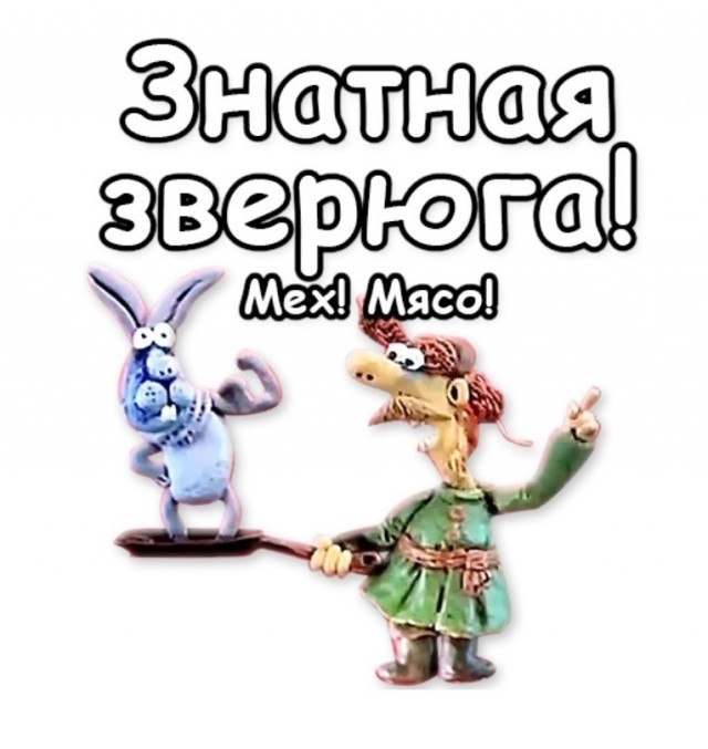 Домашниё кролик из Бразилии
