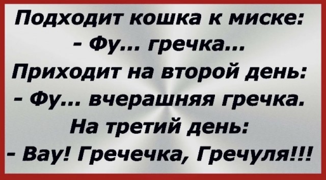 Как переучить кота есть вискас