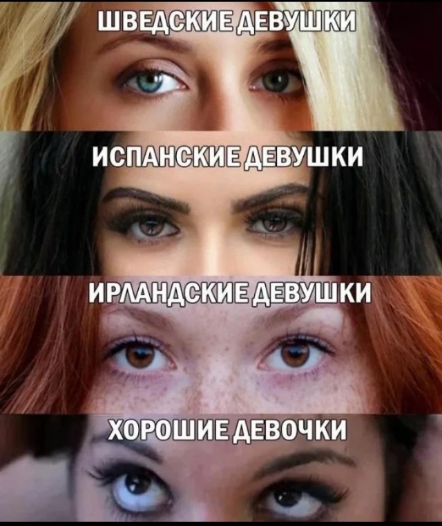 Чутка всякой дичи
